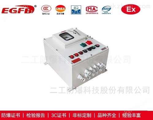 工業(yè)電爐熱處理用帶防護小門防爆配電箱